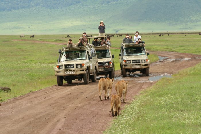 5-Day Tarangire, Serengeti & Ngorongoro Safari