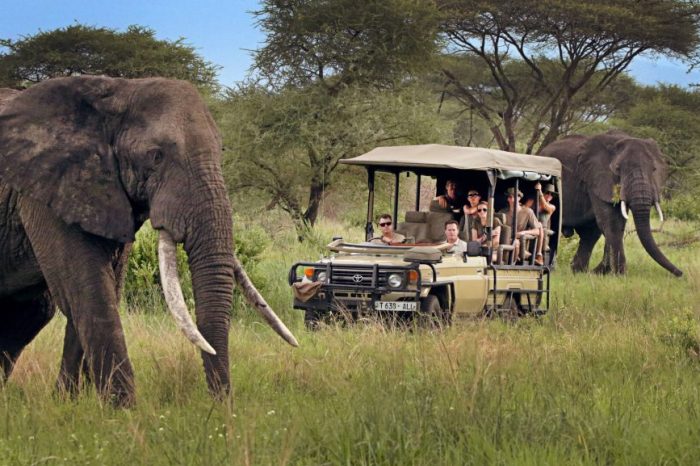 10-Day Luxury Kenya & Tanzania Safari