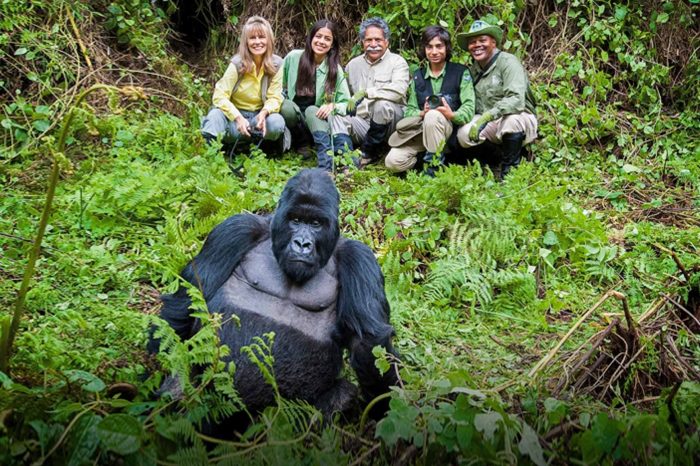 16-Day Rwanda and Uganda’s Gorilla Trekking & Big Five.