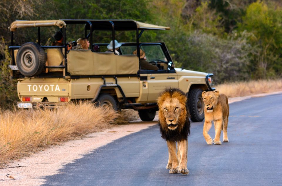 5 Best top places to safari in Uganda in 2024- 2025