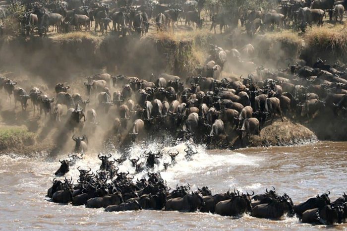 8-Day Mid-Range Serengeti Migration Safari